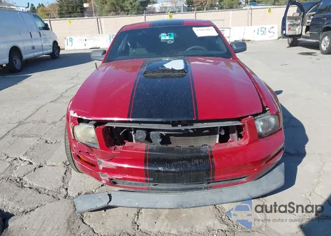 2008 Ford Mustang V6 Deluxe/V6 Premium from USA, damaged, VIN 1ZVHT80N985116166